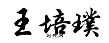 胡問遂王培璞行書個性簽名怎么寫