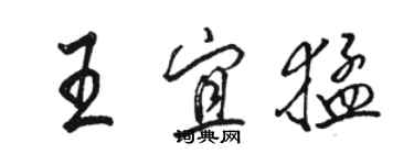 駱恆光王宜猛行書個性簽名怎么寫