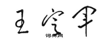 駱恆光王定軍草書個性簽名怎么寫