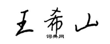 王正良王希山行書個性簽名怎么寫