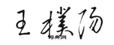 駱恆光王朴陽草書個性簽名怎么寫