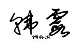 朱錫榮韓霞草書個性簽名怎么寫
