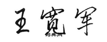 駱恆光王寬軍行書個性簽名怎么寫