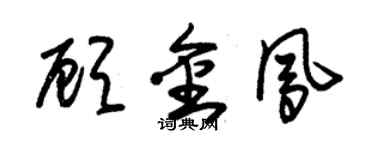 朱錫榮顧金鳳草書個性簽名怎么寫