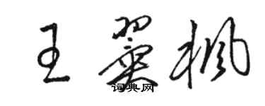 駱恆光王翼楓草書個性簽名怎么寫