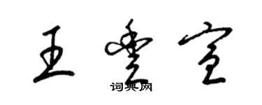 梁錦英王豐宣草書個性簽名怎么寫