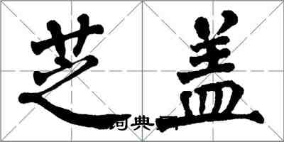 翁闓運芝蓋楷書怎么寫