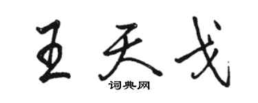 駱恆光王天戈行書個性簽名怎么寫