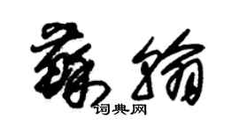 朱錫榮蘇翰草書個性簽名怎么寫