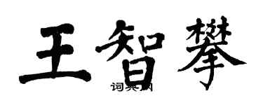 翁闓運王智攀楷書個性簽名怎么寫