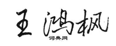 駱恆光王鴻楓行書個性簽名怎么寫