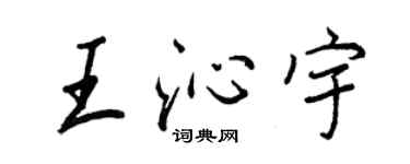 王正良王沁宇行書個性簽名怎么寫