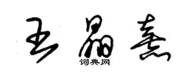 朱錫榮王晶熹草書個性簽名怎么寫