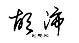 朱錫榮胡沛草書個性簽名怎么寫