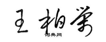 駱恆光王柏榮草書個性簽名怎么寫