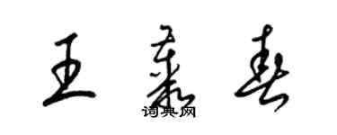 梁錦英王叢春草書個性簽名怎么寫