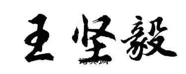 胡問遂王堅毅行書個性簽名怎么寫