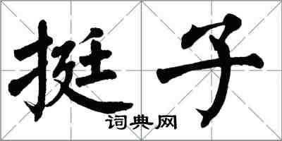 翁闓運挺子楷書怎么寫