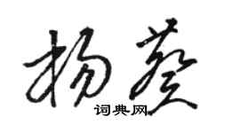 駱恆光楊葵草書個性簽名怎么寫
