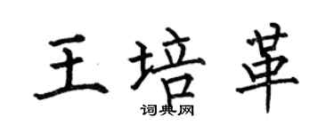 何伯昌王培革楷書個性簽名怎么寫