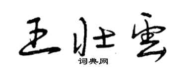 曾慶福王壯雲草書個性簽名怎么寫