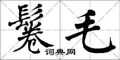 翁闓運鬈毛楷書怎么寫