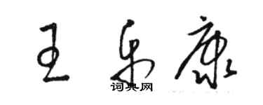 駱恆光王樂康草書個性簽名怎么寫