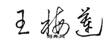 駱恆光王梅蓮草書個性簽名怎么寫