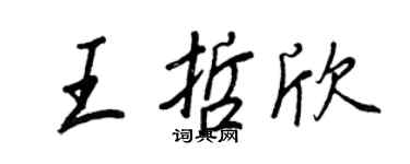 王正良王哲欣行書個性簽名怎么寫