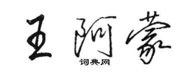 駱恆光王阿蒙行書個性簽名怎么寫