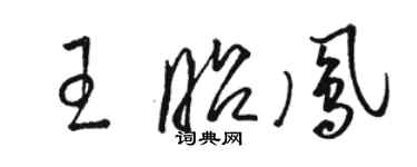 駱恆光王昭鳳草書個性簽名怎么寫