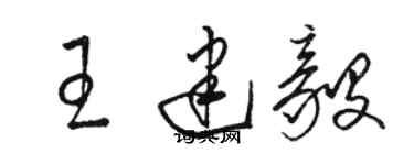 駱恆光王建毅草書個性簽名怎么寫