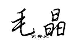 王正良毛晶行書個性簽名怎么寫
