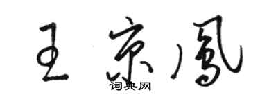 駱恆光王京鳳草書個性簽名怎么寫