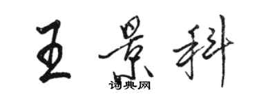 駱恆光王景科行書個性簽名怎么寫