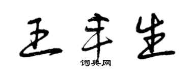 曾慶福王豐生草書個性簽名怎么寫