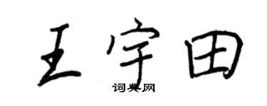王正良王宇田行書個性簽名怎么寫