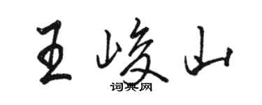 駱恆光王峻山行書個性簽名怎么寫