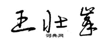 曾慶福王壯峰草書個性簽名怎么寫