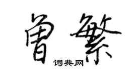 王正良曾繁行書個性簽名怎么寫