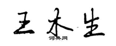 曾慶福王木生行書個性簽名怎么寫