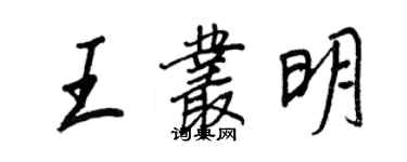 王正良王叢明行書個性簽名怎么寫