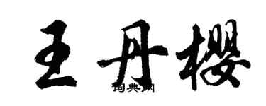 胡問遂王丹櫻行書個性簽名怎么寫