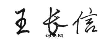 駱恆光王長信行書個性簽名怎么寫
