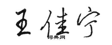 駱恆光王佳寧行書個性簽名怎么寫