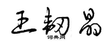 曾慶福王韌晶草書個性簽名怎么寫