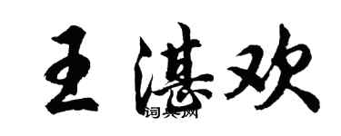 胡問遂王湛歡行書個性簽名怎么寫