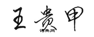 駱恆光王貴甲行書個性簽名怎么寫