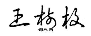 曾慶福王樹枚草書個性簽名怎么寫