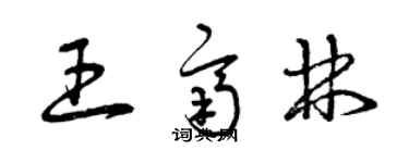 曾慶福王齊林草書個性簽名怎么寫